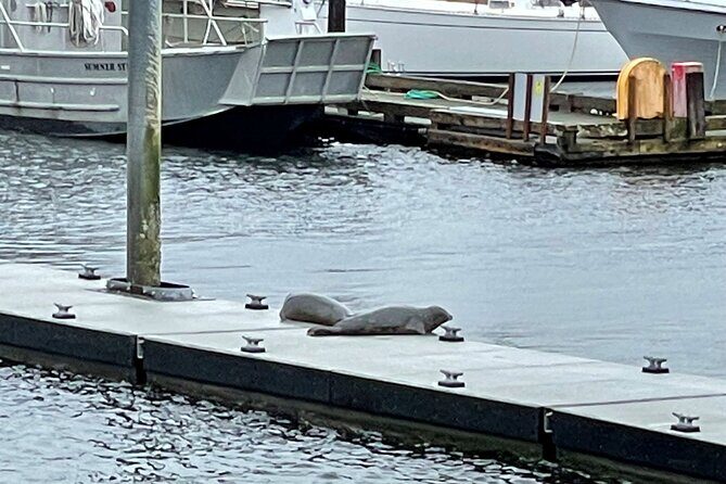 Ketchikan Duck Tour - Practical Tips for Your Trip