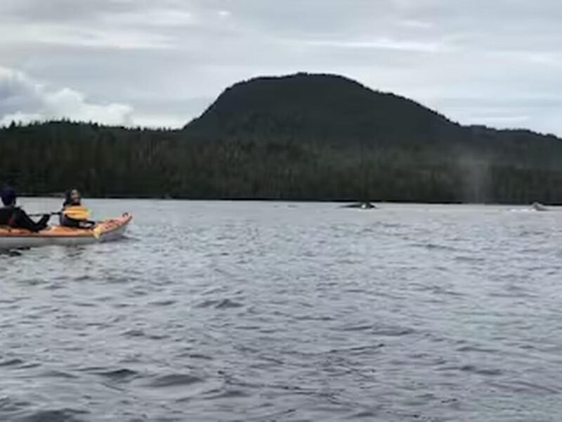 Ketchikan: Kayak Eco-Tour - FAQ