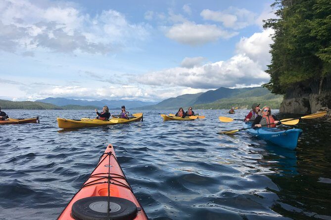 Ketchikan Kayak Eco-Tour - Practical Details and What to Keep in Mind