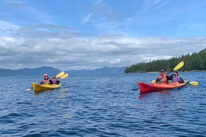 Ketchikan Kayak Eco-Tour - Final Thoughts: Is This Tour Right for You?