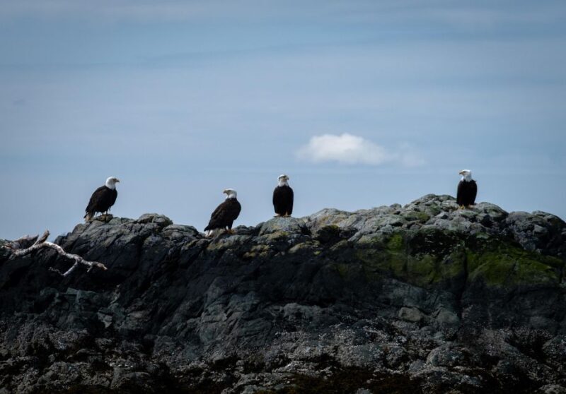 Ketchikan: Lighthouse, Totems & Eagles Excursion - FAQ