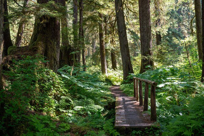 Ketchikan Magical Old-Growth Creek Trek Guided Tour - Practical Details and What They Mean for You