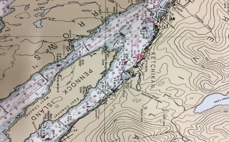 Ketchikan: Marine Wildlife and Whale Watching Boat Tour - Pricing and Value