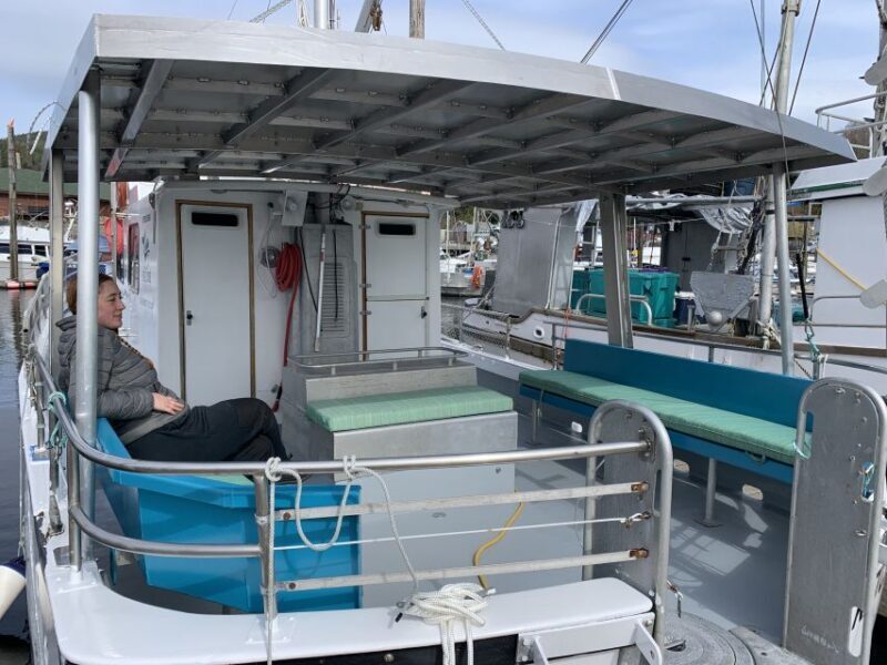 Ketchikan: Marine Wildlife and Whale Watching Boat Tour - Who Is This Tour Best For?