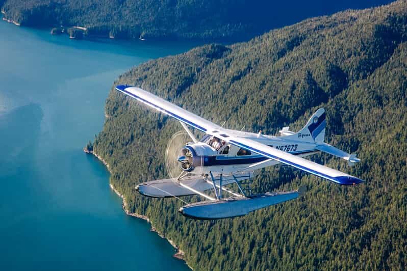 Ketchikan: Misty Fjords National Monument Floatplane Tour - What to Expect from the Floatplane Tour