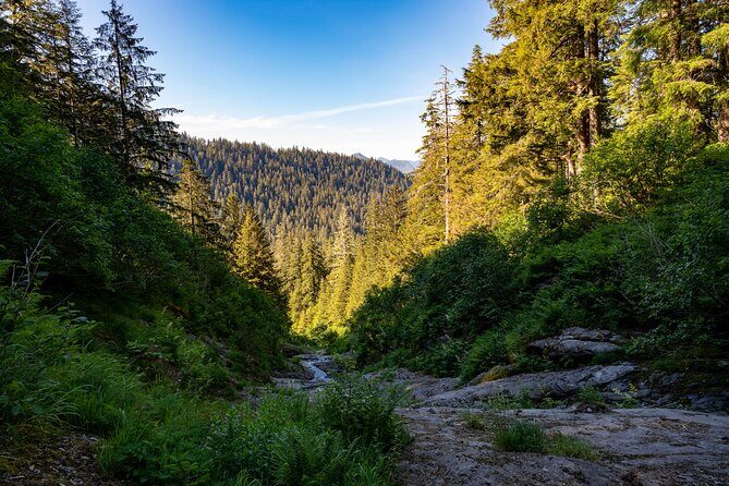 Ketchikan Mountain Lake Trek to Avalanche Chute - What We Like (and What to Consider)
