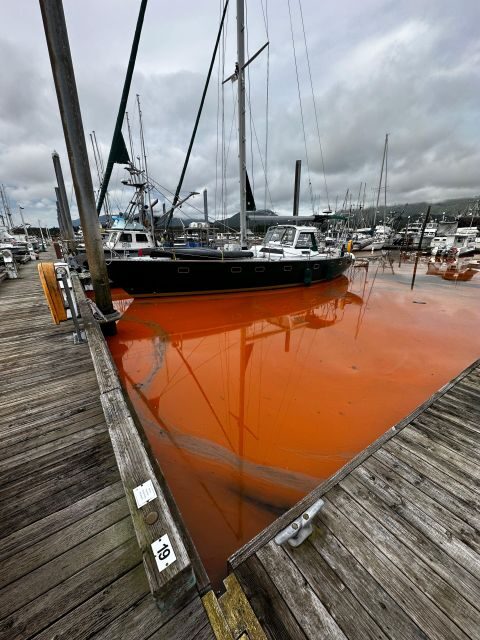 Ketchikan Photo Safari - Who Is This Tour Best For?