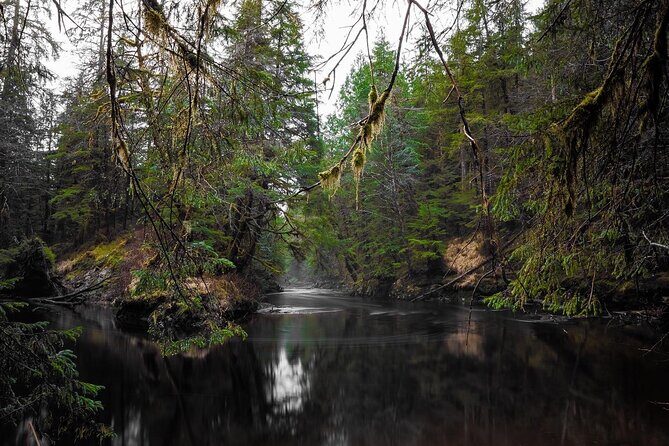 Ketchikan Ultimate Whale Watching, Wildlife, & Wilderness Dining - Final Thoughts