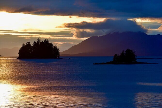 Ketchikan Ultimate Whale Watching, Wildlife, & Wilderness Dining - Frequently Asked Questions