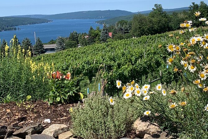 Keuka Lake Wine Tour - Customizable - Final Thoughts