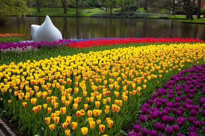 Keukenhof Entry Ticket plus Round-Trip Shuttle Bus from Amsterdam - The Value for Money