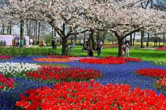Amsterdam: Keukenhof Entry & Shuttle Bus with Flexible Return - The Bottom Line on Value