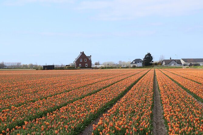 Keukenhof Gardens and Delft Guided Tour from Amsterdam - Final Thoughts