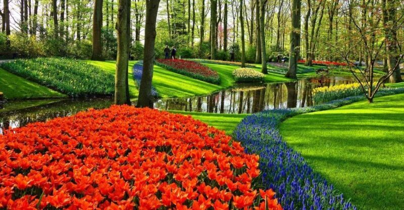 Keukenhof Gardens and Tulip Experience Tour from Amsterdam - Introduction