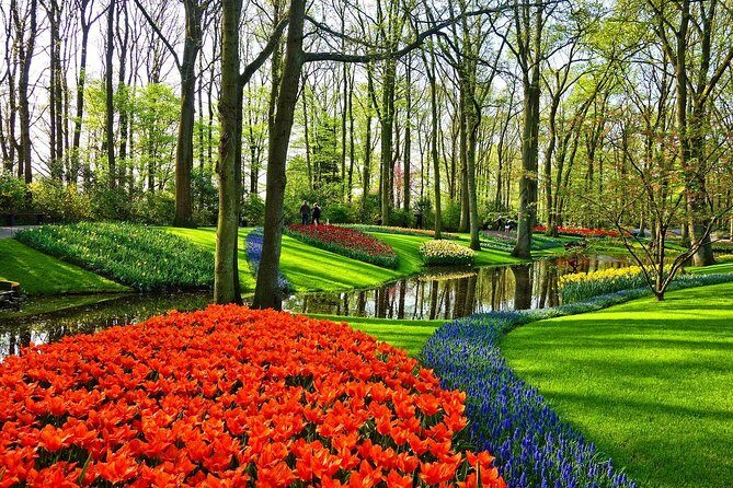 Keukenhof Gardens and Tulips Private Tour from Amsterdam - Final Thoughts
