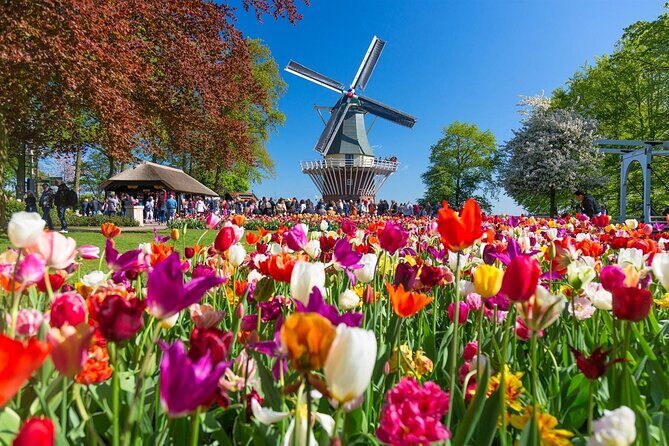 Keukenhof Gardens with Windmill Cruise & Transfer from Amsterdam - Who Is This Tour Best For?