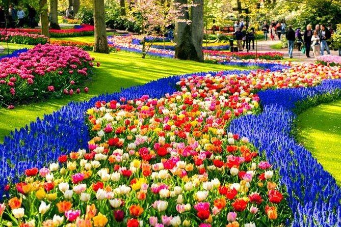 Keukenhof Skip-the-line Tickets: Countryside & Farm Private Tour - Key Points