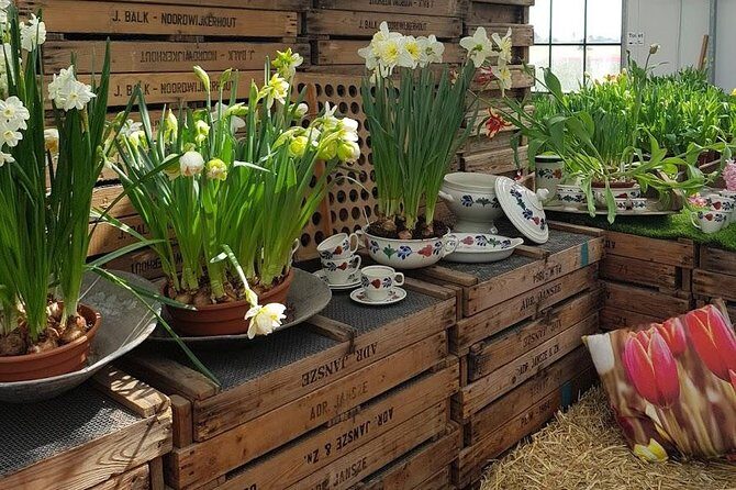 Keukenhof Skip-the-line Tickets: Countryside & Farm Private Tour - An In-Depth Look at the Itinerary