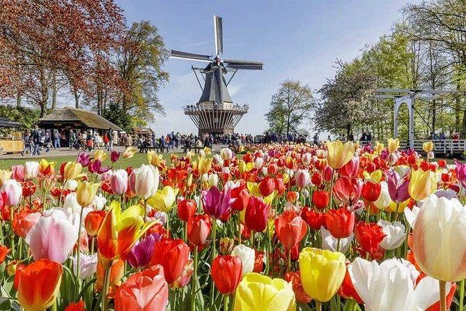 Keukenhof Skip-the-line Tickets: Countryside & Farm Private Tour - Final Thoughts