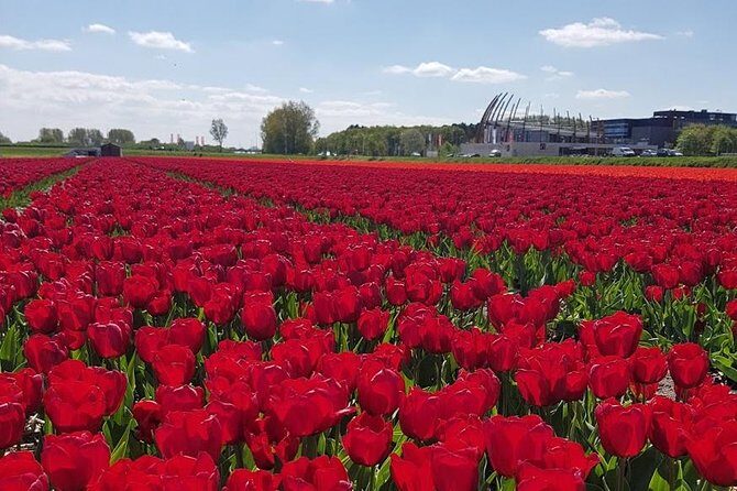 Keukenhof Skip-the-line Tickets: Countryside & Farm Private Tour - FAQs