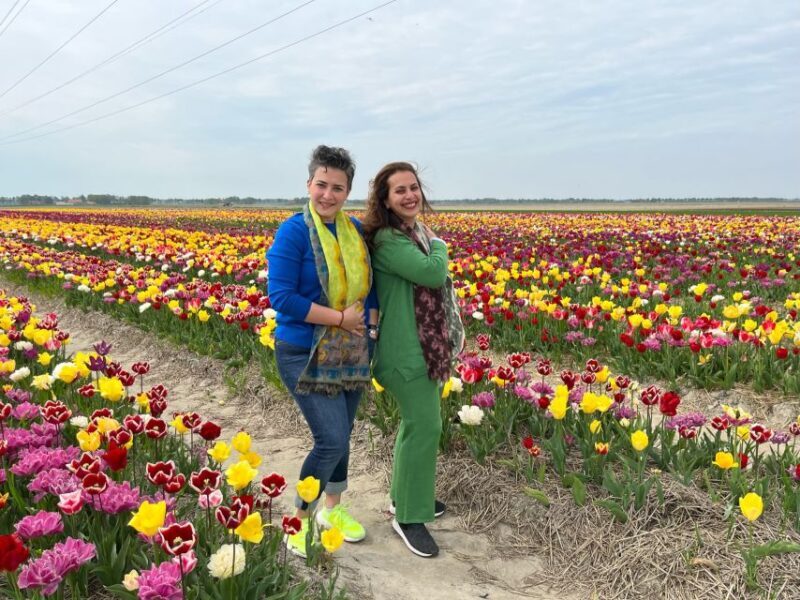 Keukenhof, Tulip Farm, Flower Fields & Windmills - What the Reviews Say: Authentic Insights