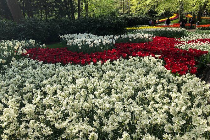 Keukenhof, Tulip Farm, Flower Fields & Zaanse Schans Windmills - A Closer Look at the Tour Experience