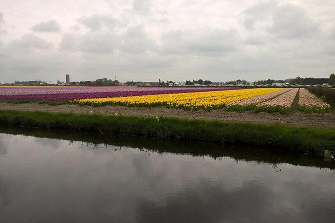Keukenhof's Tulips and Windmills Small-Group Tour from Amsterdam - FAQ