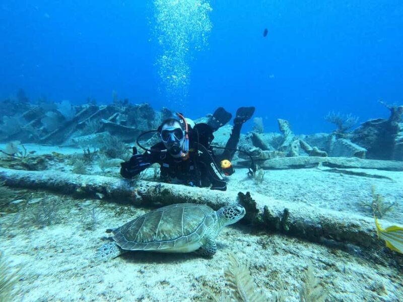 Key Largo: 2-Tank Shallow Reef Dive with Guide & Photos - Final Thoughts