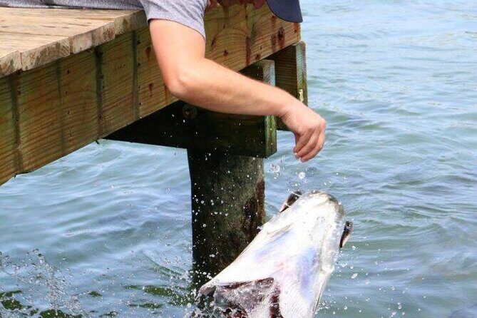 Key Largo Coral Reef Park and Sunset Celebration - Key Points