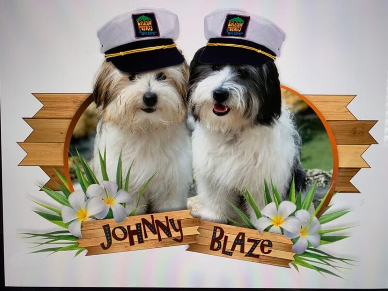 Key Largo: Cruisin' Tikis Key Largo - Day Cruise - The Value of the Experience