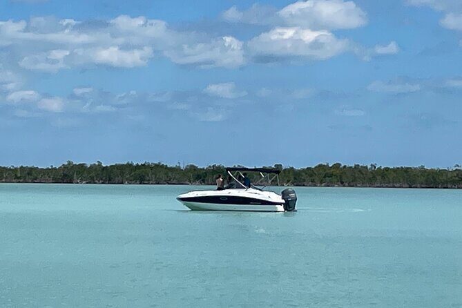 Key Largo Day Tour - Who is This Tour Best For?