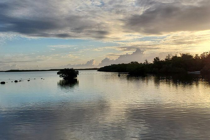Key Largo Mangrove Private Eco-Tours - What to Expect from the Itinerary
