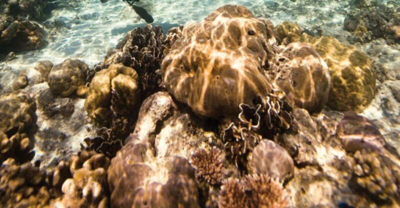 Key Largo: Scuba Refresher Course - What You Can Expect from the Key Largo Scuba Refresher Course