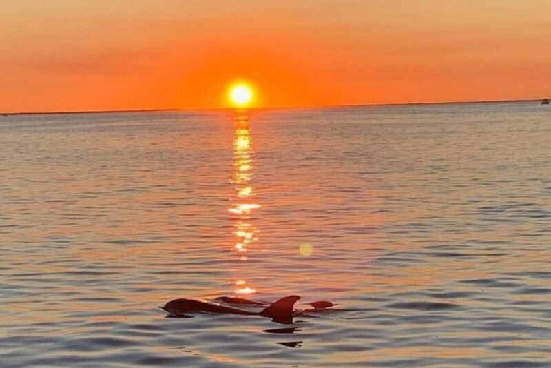 Key Largo: Sunset Cruise - The Wildlife Encounters: Dolphins and Manatees