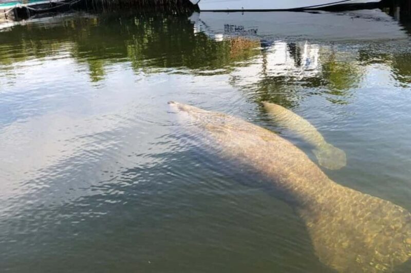 Key Largo: Sunset Cruise - Price and Value: Is It Worth It?