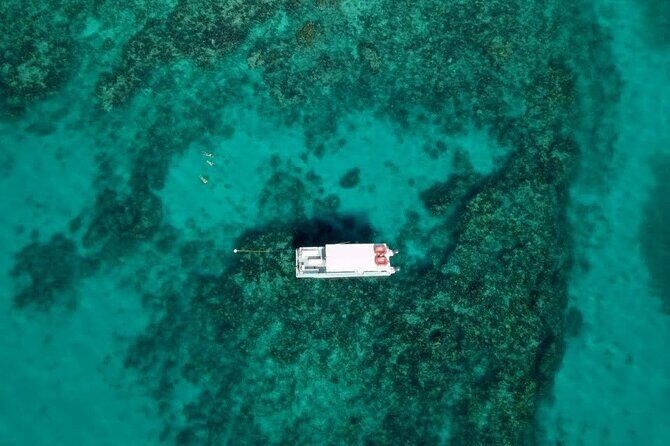 Key Largo Two Reef Snorkel Tour - All Snorkel Equipment Included! - The Sum Up