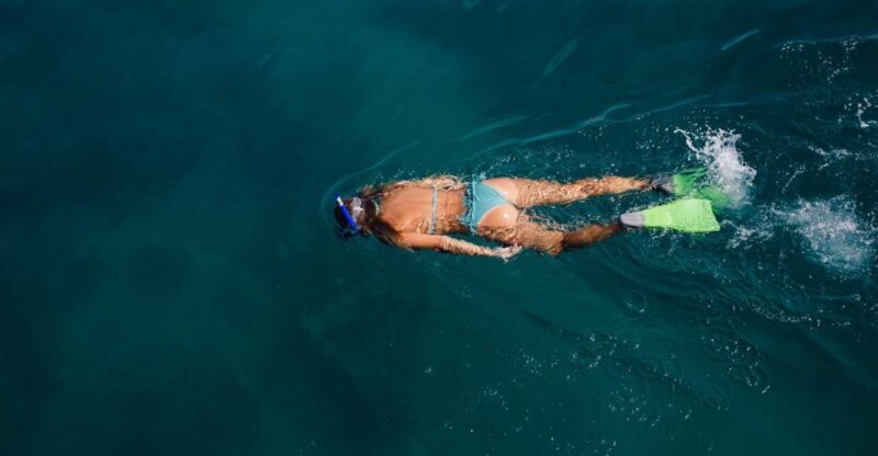 Key West: 3-Hour Afternoon Reef Snorkel with Drinks - The Vibe and Itinerary: What to Expect