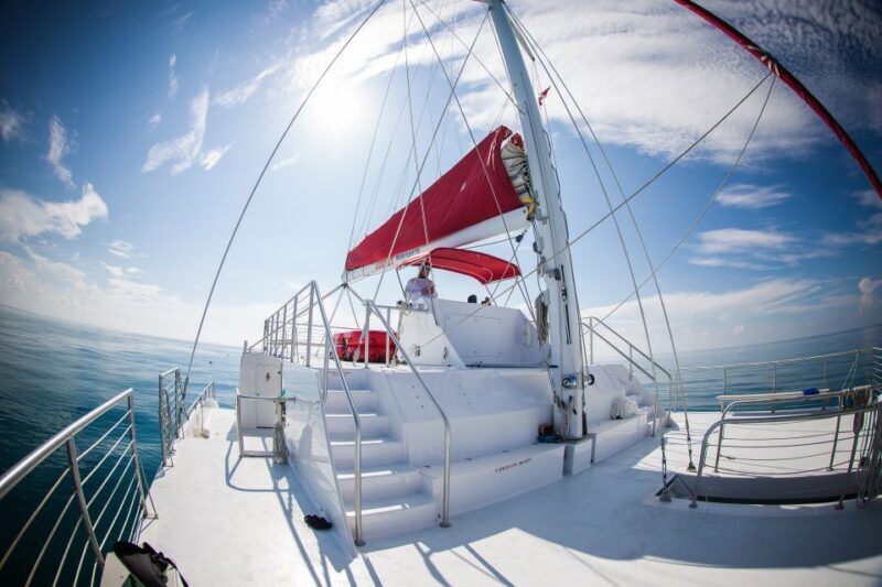 Key West: 3-Hour Afternoon Reef Snorkel with Drinks - Cost and Value