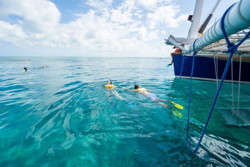 Key West: Afternoon Reef Snorkel Tour with Open Bar - Key Points