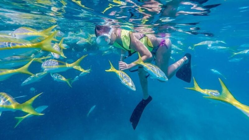 Key West: Afternoon Reef Snorkel Tour with Open Bar - The Catamaran and the Overall Atmosphere