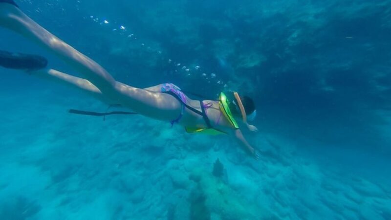 Key West: Afternoon Reef Snorkel Tour with Open Bar - Who Is This Tour Best For?