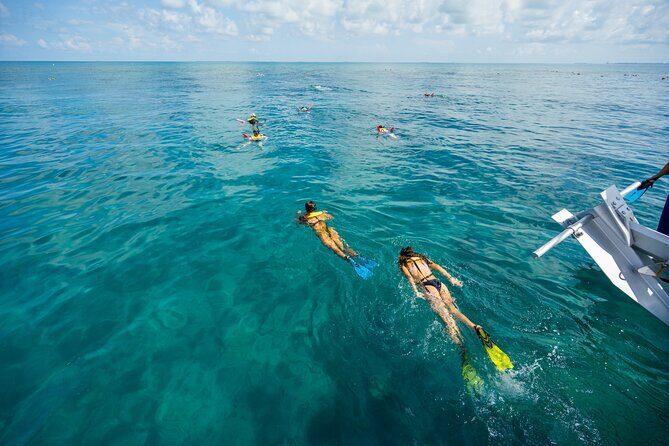 Key West Afternoon Snorkel Sail with Unlimited Cocktails! - What to Expect on Your Snorkel Sail