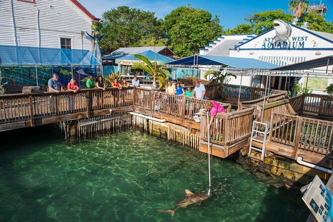 Key West Aquarium Admission - Final Thoughts