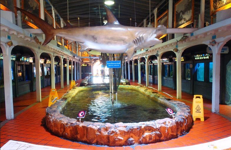 Key West Aquarium Tickets - The Small Size and Its Impact