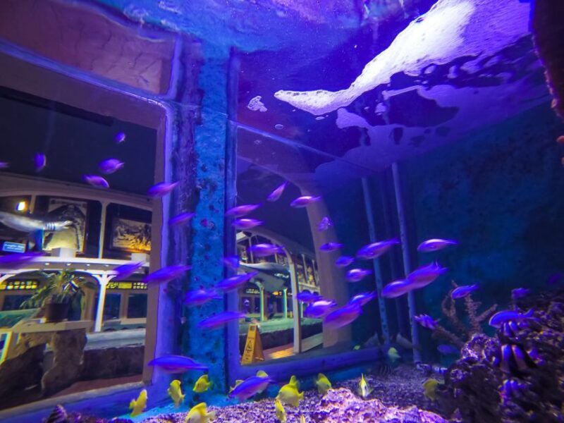 Key West Aquarium Tickets - The Experience from Visitor Feedback