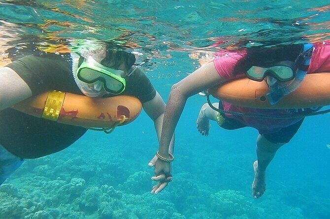 Key West Combo: Hop On Hop Off Afternoon Snorkeling - Key Points