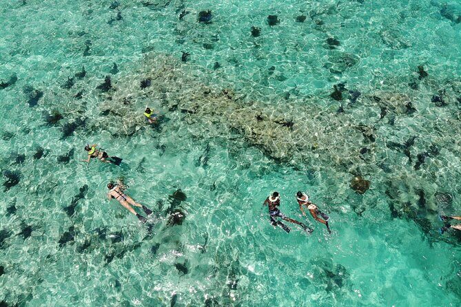 Key West Dolphin and Snorkel Experience - What Is the Key West Dolphin and Snorkel Experience?