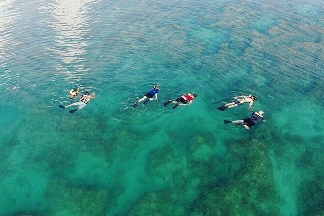 Key West Dolphin and Snorkel Experience - Final Thoughts