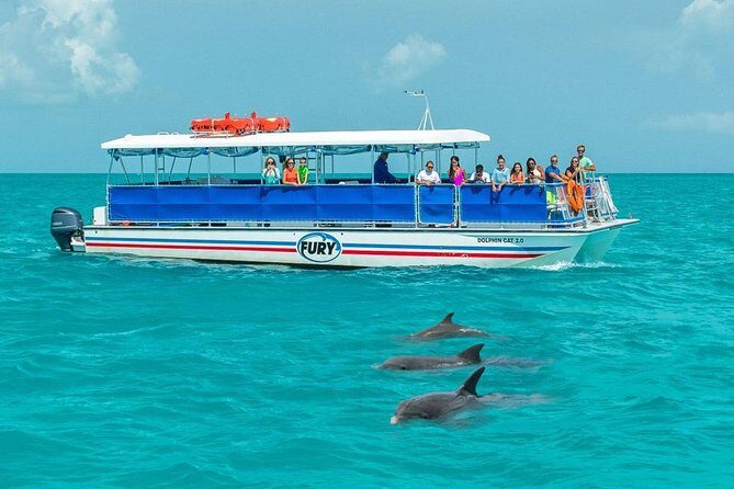 Key West Dolphin Watch and Snorkel Tour - Eco Adventure - The Value Proposition: Is It Worth It?