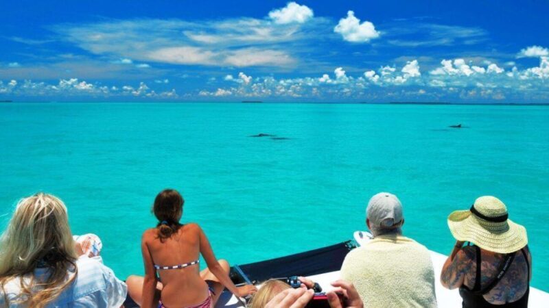 Key West: Dolphin Watching and Snorkeling Eco Cruise Tour - Frequently Asked Questions